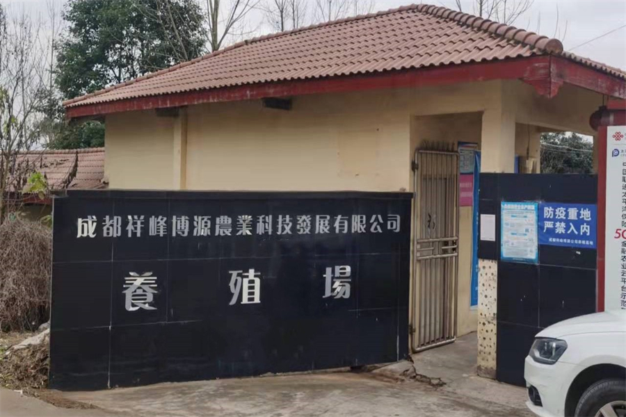 微菌环境助力成都祥峰博源解决养殖恶臭问题