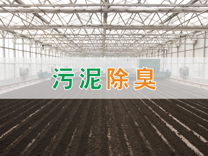污泥除臭方案